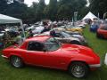 Cars On The Green