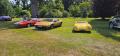 Classic Team Lotus Garden Party 2025