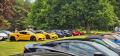 Classic Team Lotus Garden Party 2025