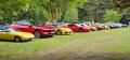 Classic Team Lotus Garden Party 2025