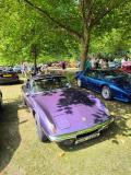 Hedingham Castle 2025